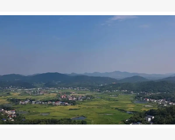 儿童扁桃体炎中药调理：中医的治疗方法